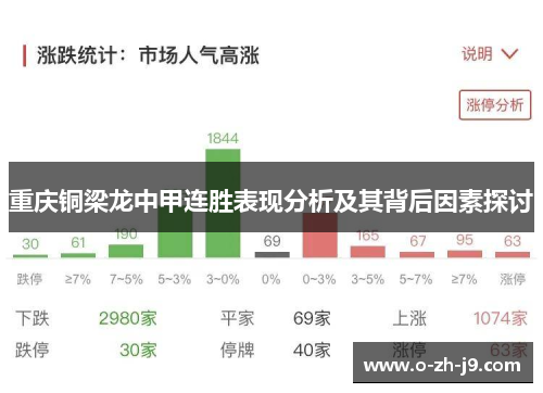 重庆铜梁龙中甲连胜表现分析及其背后因素探讨