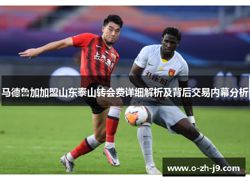 马德鲁加加盟山东泰山转会费详细解析及背后交易内幕分析