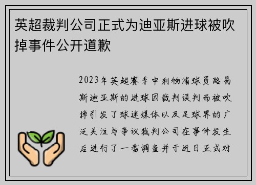 英超裁判公司正式为迪亚斯进球被吹掉事件公开道歉